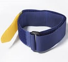 blue-yellow-strap-cat-220.jpg